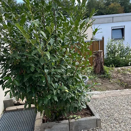 شقة Comfortes 2 Betten-zimmer In Wiblingen